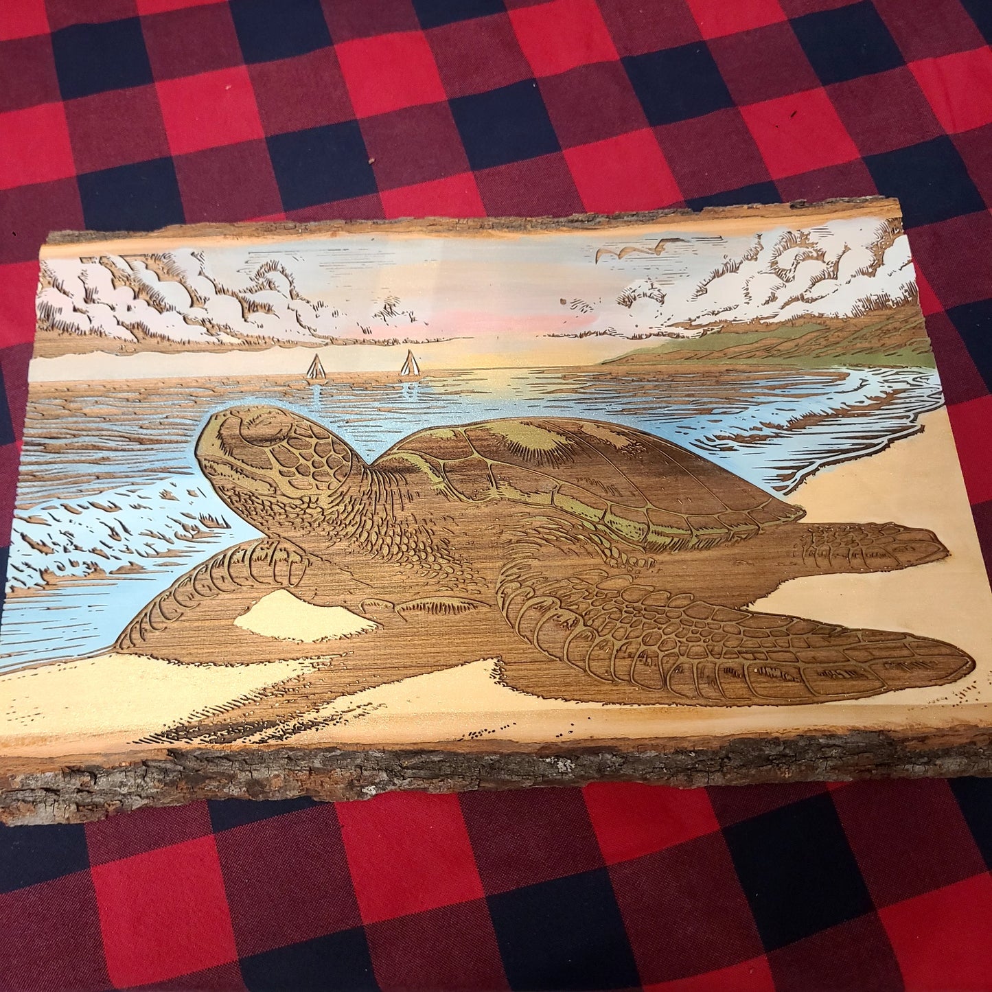 Carved Painted Wood Ship & Carved Painted Wood Sea Turtle Art CN-175-05 (Carter's Creations NH) OL