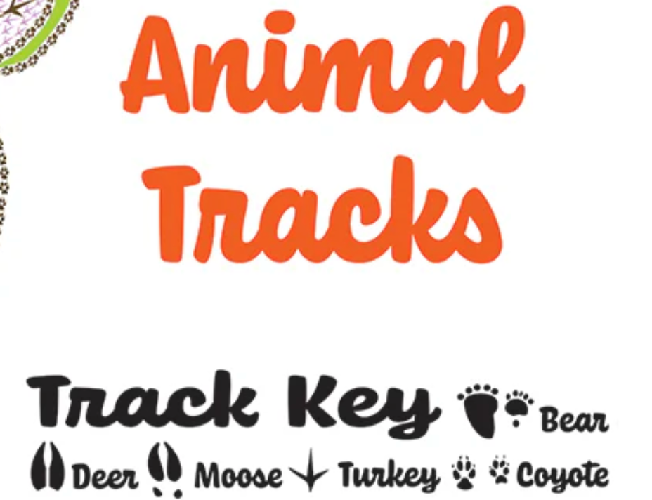 Blue Heart Magnet (Animal Tracks Design) OL