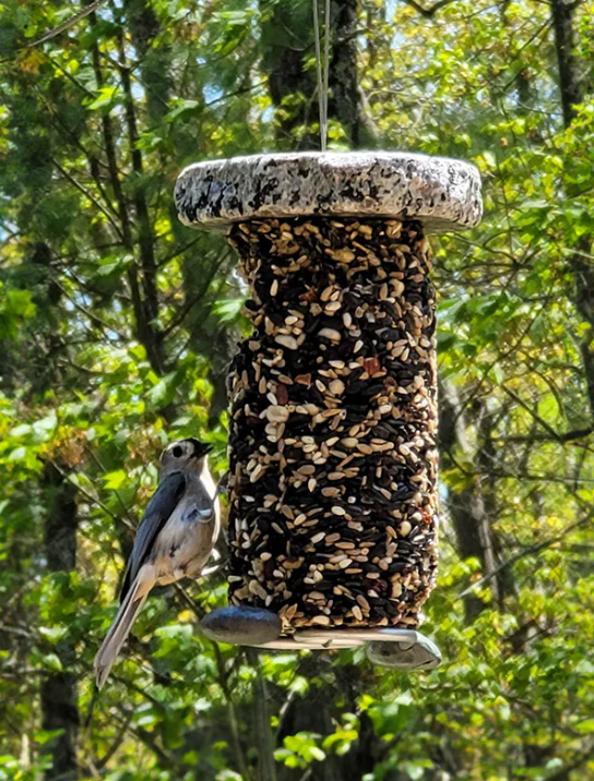 Cylinder Bird Feeder (Sea Stones) OL