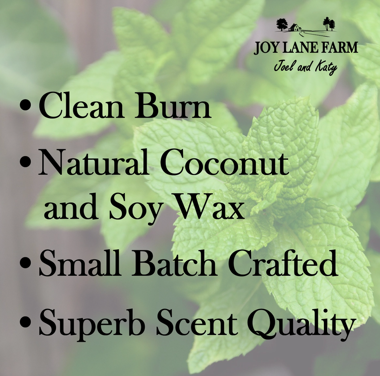 Mint Garden Soy Candle 9.5 oz. (Joy Lane Farm) OL