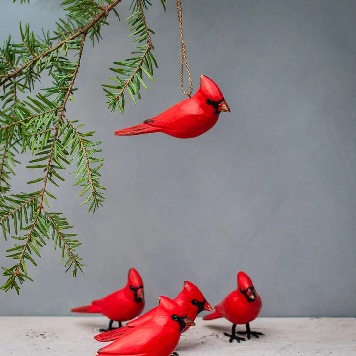 Mini Cardinal 3"