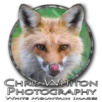 White Mountain Images Magnets