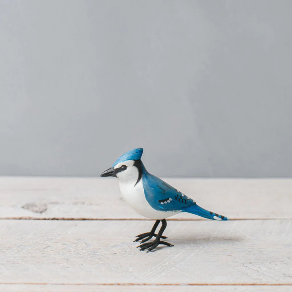 Mini Blue Jay