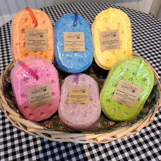 Soap Infused Bath Sponges (Postage Stamp Soap Co.) OL