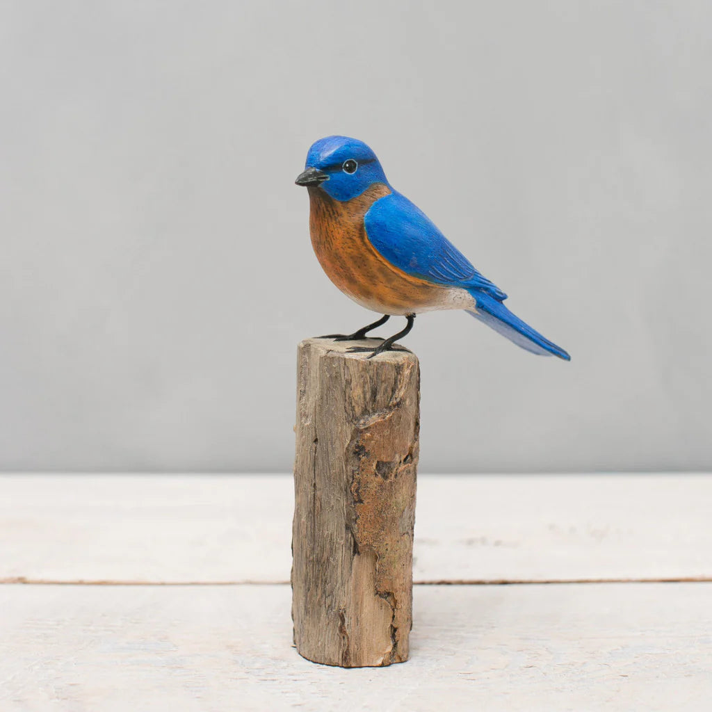 Blue Bird (Aviologie)- Online