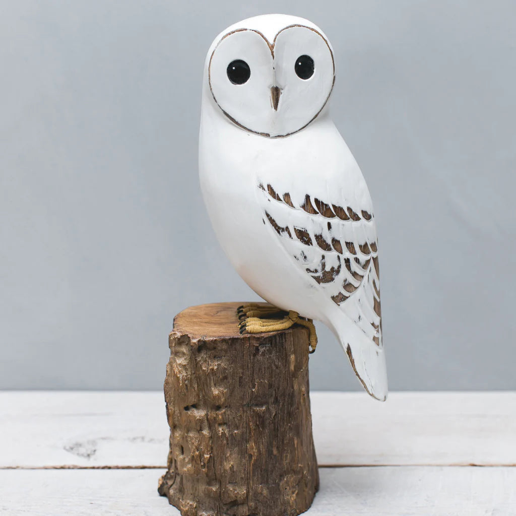 Barn Owl (Aviologie)- Online