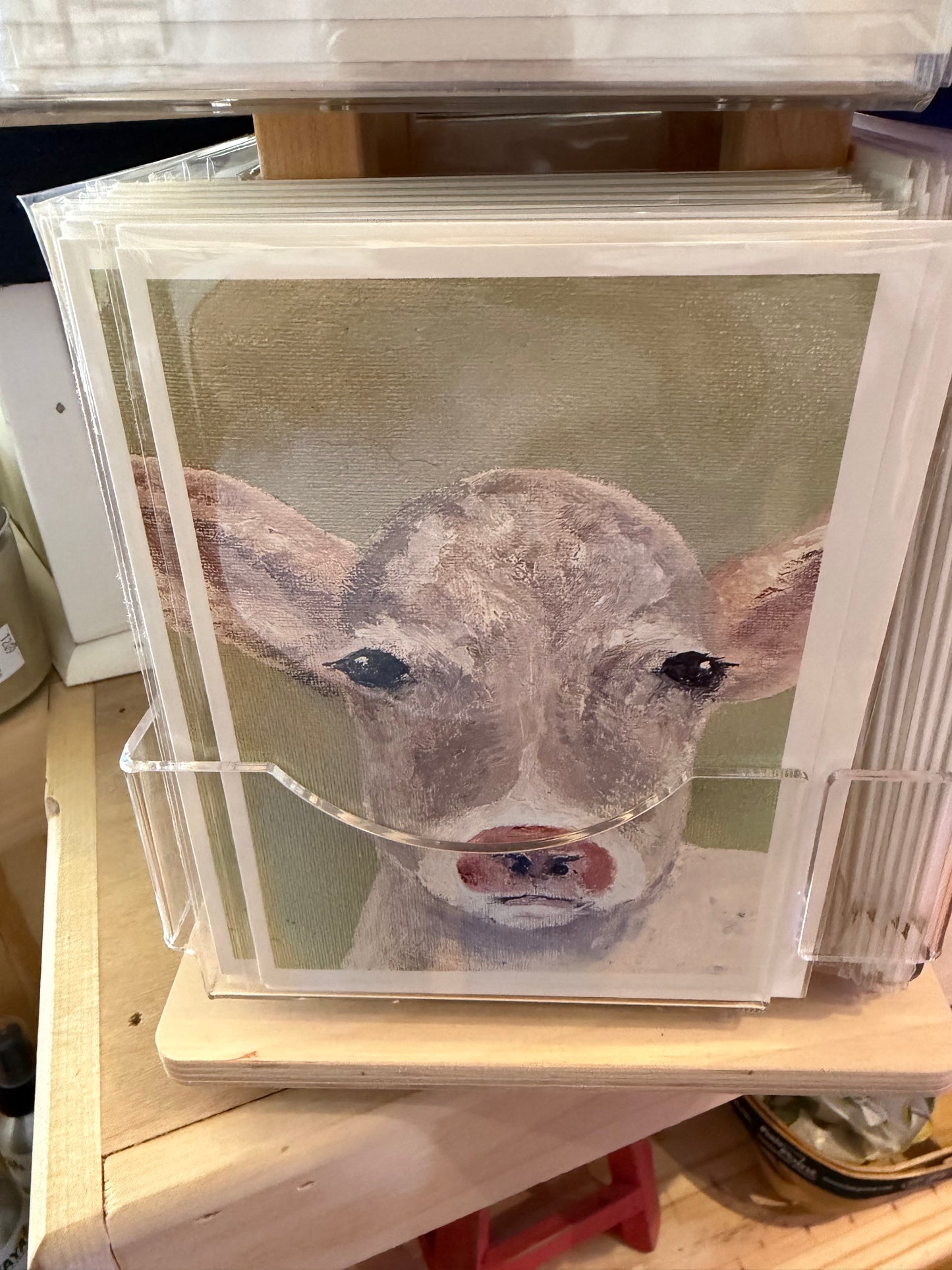Variety Greeting Cards blank inside w/ envelope (Rejuvinate Art Studio) OL