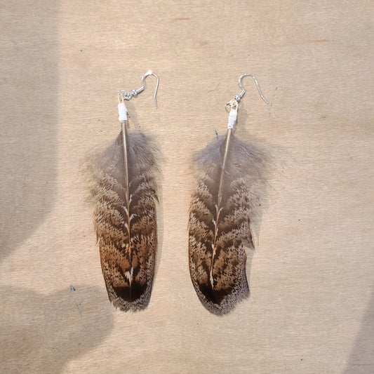 Feather Earrings (Doc's Designs) OL
