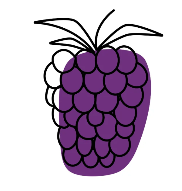 Wicked Good Blackberry Jam 11 oz. (Laurel Hill) OL