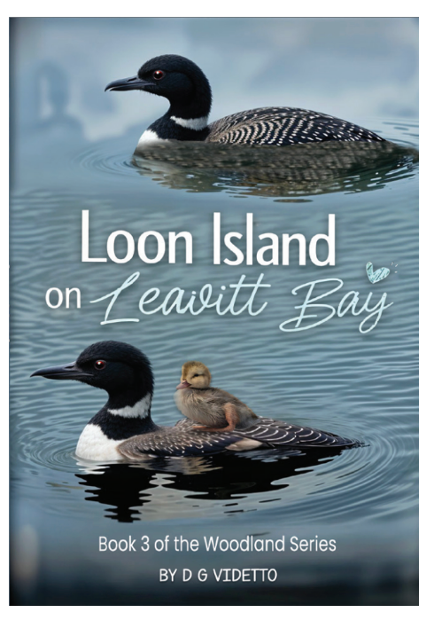 "Loon Island on Leavitt Bay" Children's Book (DG Videtto) OL