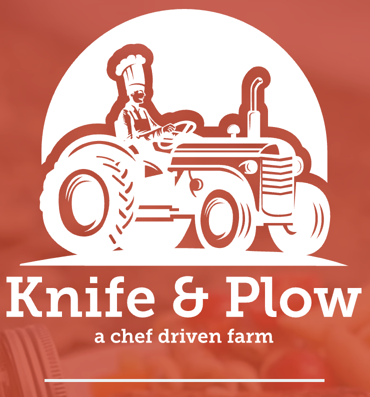 Mexican Street Popcorn 2.6 oz (Knife & Plow) OL