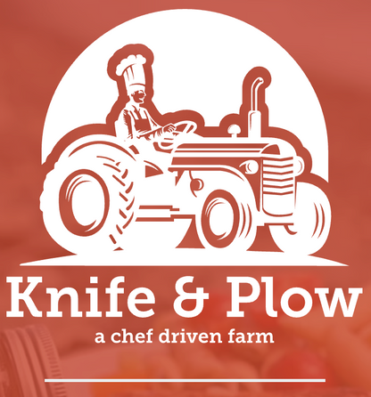 Mexican Street Popcorn 2.6 oz (Knife & Plow) OL