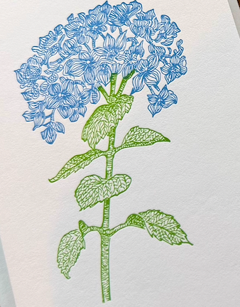 Handcrafted Letterpress note cards (Ornamental Letterpress) OL