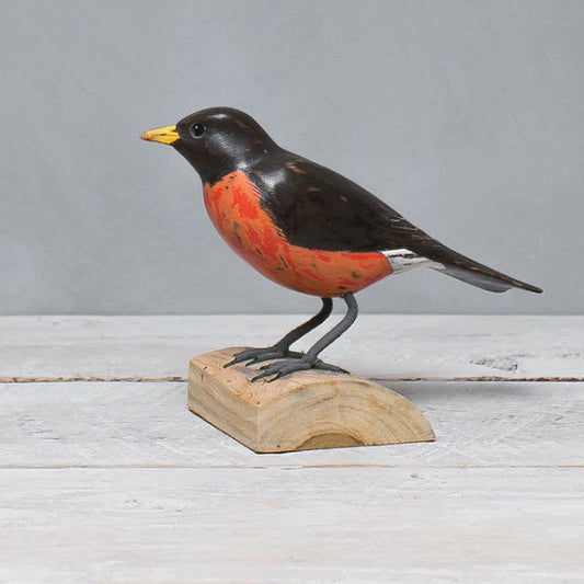 Robin 7"