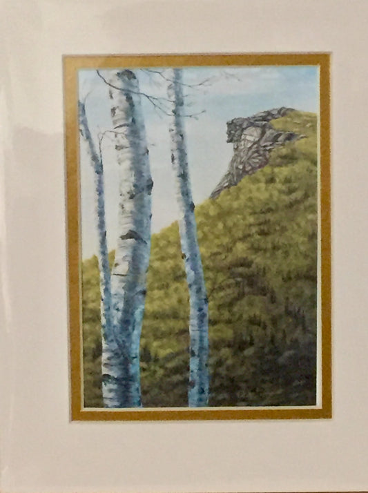 Old Man of the Mountain 8x10 Matted Print